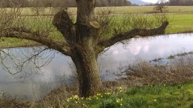 Flooded field near Annscroft