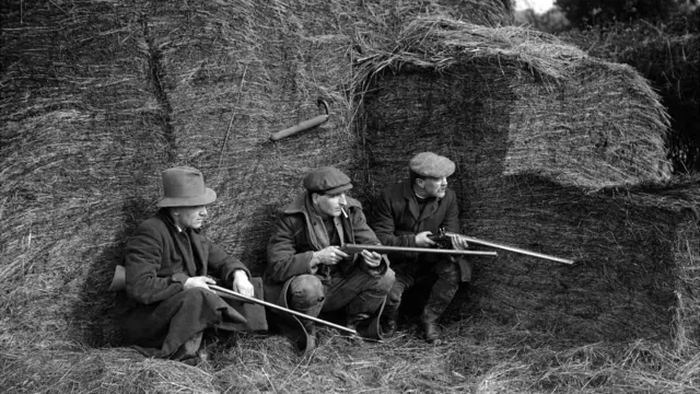 
          Armed men, presumably from a farm, were photographed hunting a sheepkilling dog at Witham in Essex
        