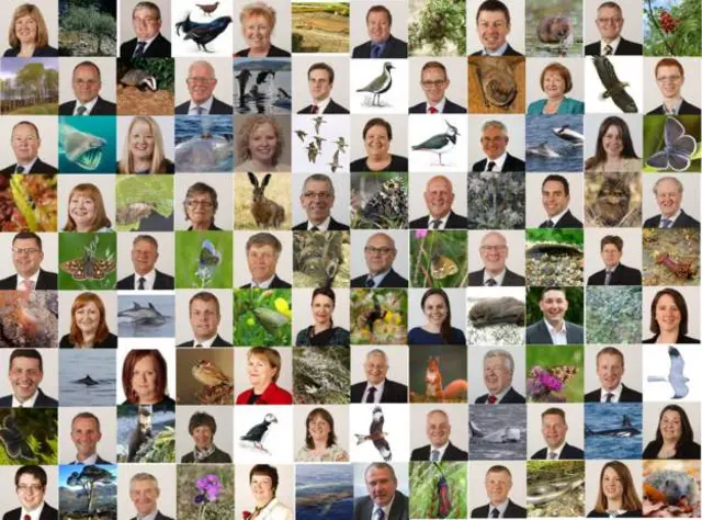 Scottish Environment Link Species Champions