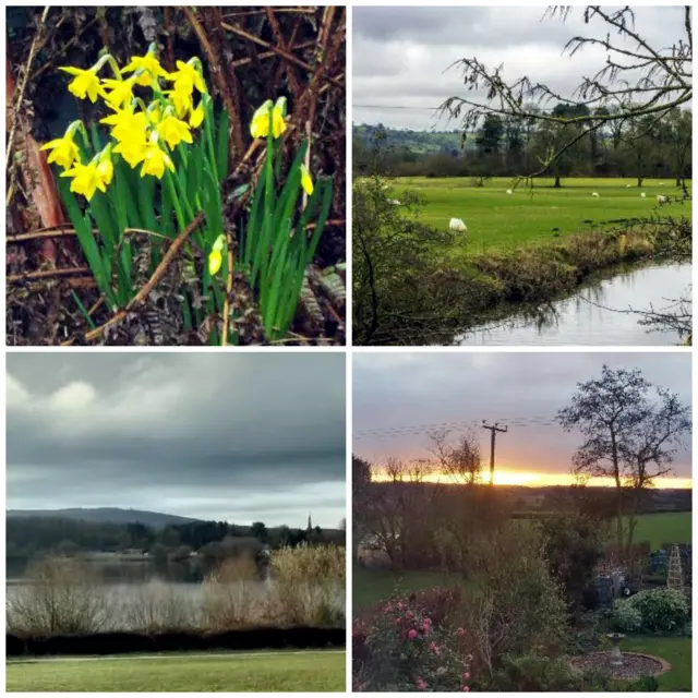 Photos from around Staffordshire and Cheshire