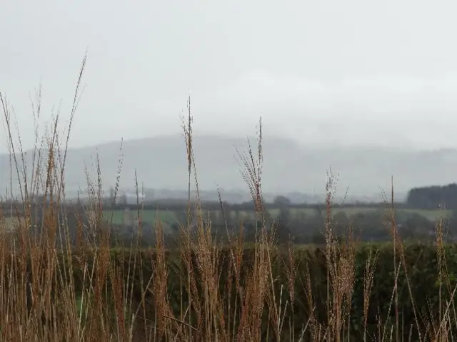 Severn Stoke