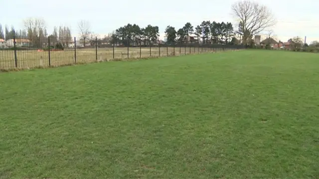 Playing field