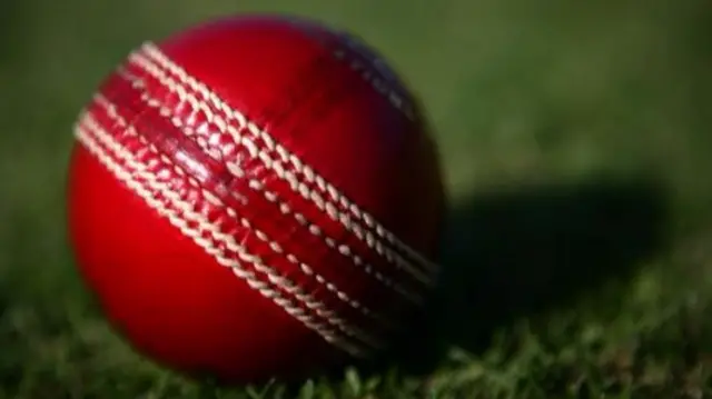 Cricket ball