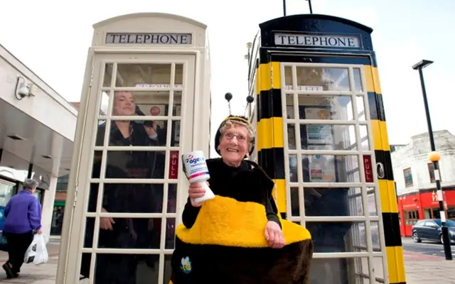 Hull's Bee Lady