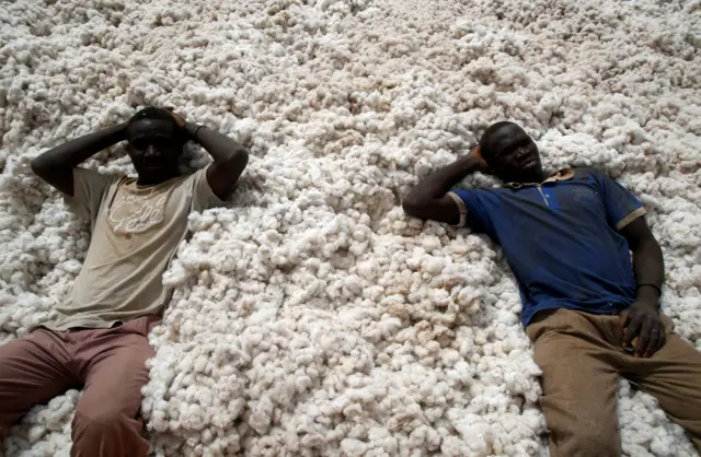 
          Farmers rest in their cotton at a cotton market in Soungalodaga, a village near Bobo-Dioulasso, Burkina Faso March 8
        