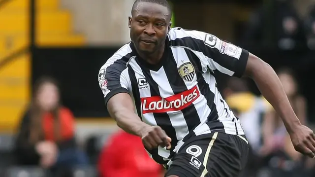 Shola Ameobi