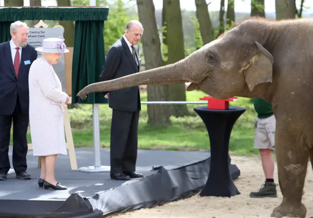 
          Queen Elizabeth II and Prince Philip, Duke of Edinburgh feed Donna the elephant
        