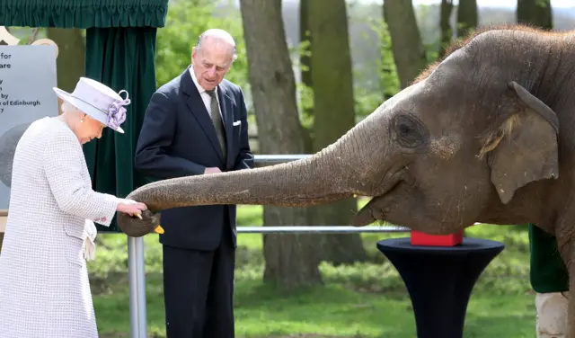 The Queen feeds Donna the elephant a banana