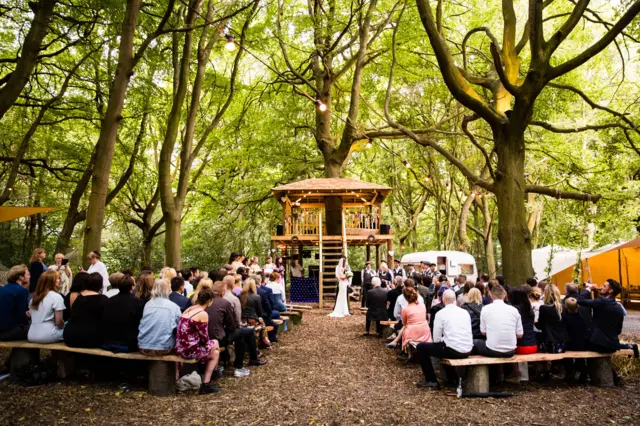 Lila's Wood treehouse before fire