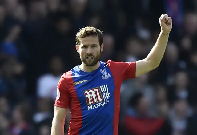 Yohan Cabaye celebrates