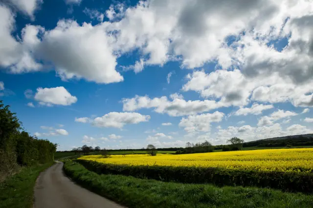 Melton Mowbray field