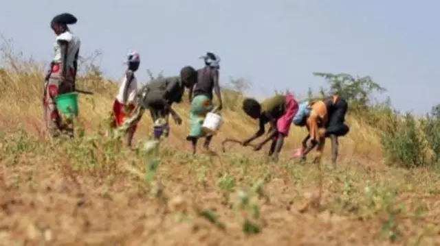 Peanut-growers