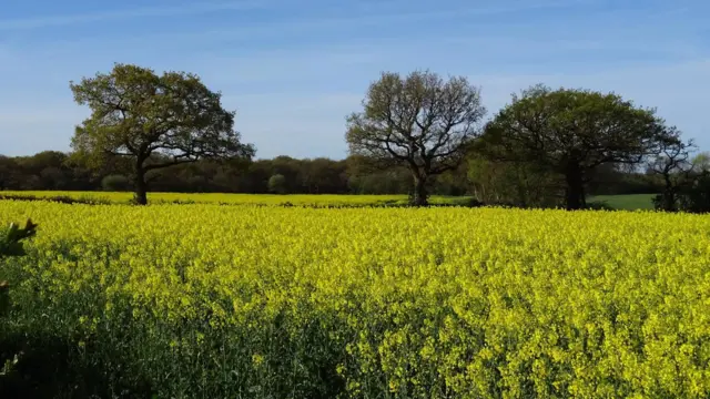 Fields in Aldridge