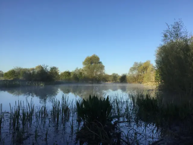 brampton, weather watchers
