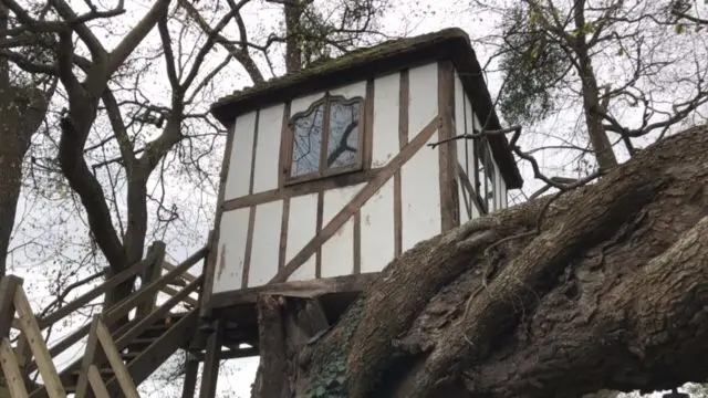 Tree house