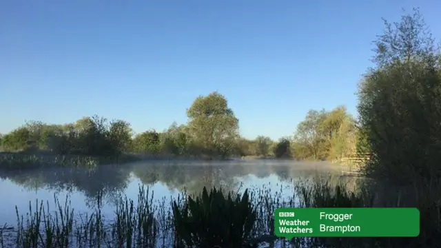 Weather Watcher picture
