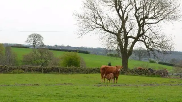 Ipstones