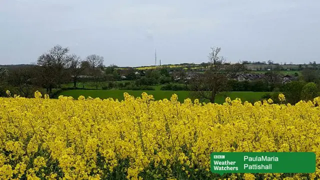 Field of rape, Pattishall