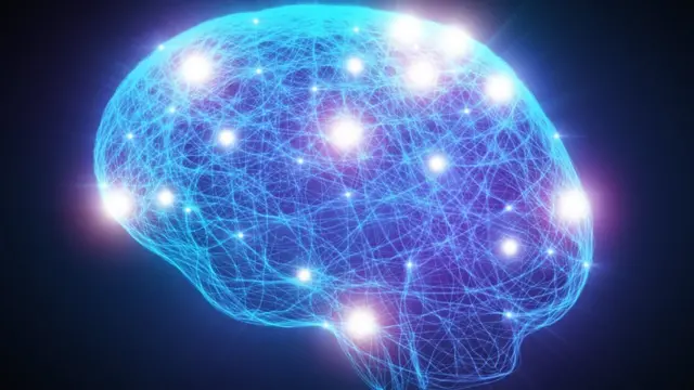 Brain neurons image