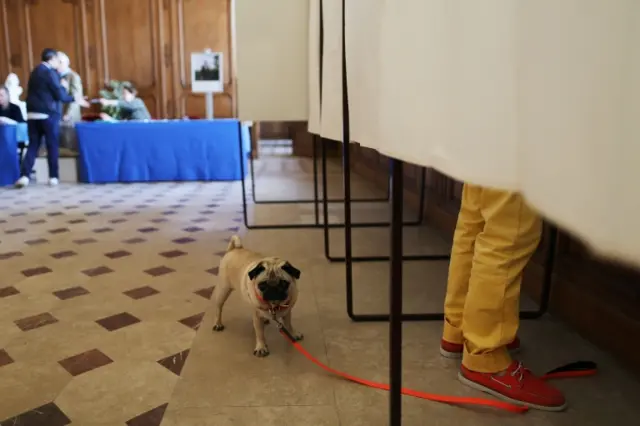 A dog waits outsode a polling booth as his owner prepares to cast his ballot in Caen