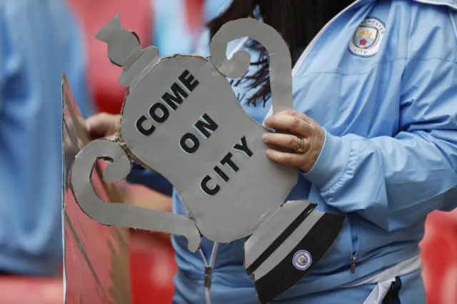 Manchester City fan