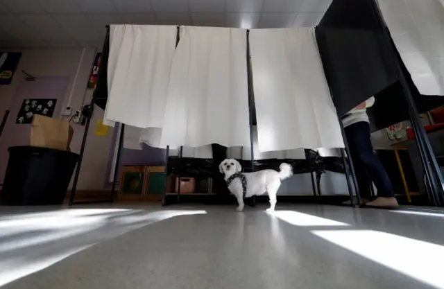 A dog waits as its owner participates in the first round of 2017 French presidential election in Lyon