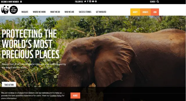 Elephant on WWF website