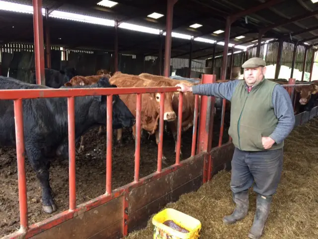 Steve Clayton with his cattle