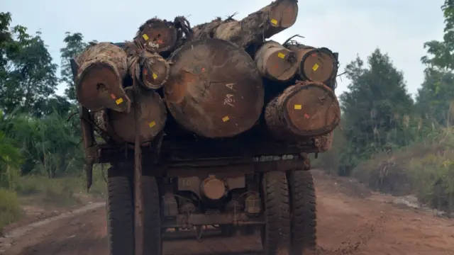 A truck transporting a load of logs.