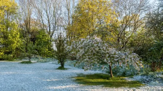 Snow scene