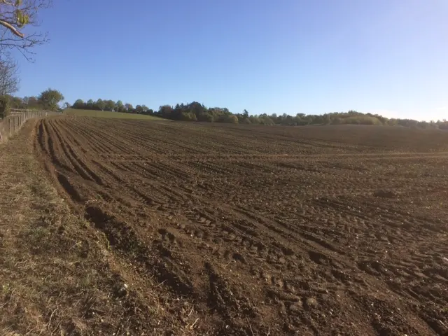 Ploughed field