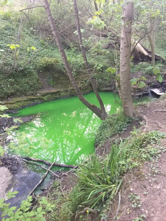 Green water