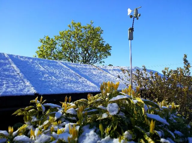 Snow on roof