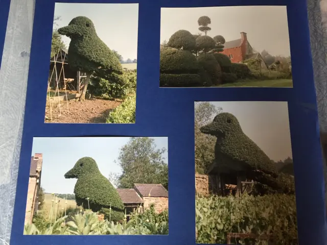 Topiary chick