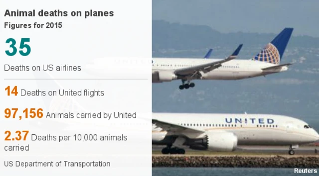 Data on animal deaths on planes