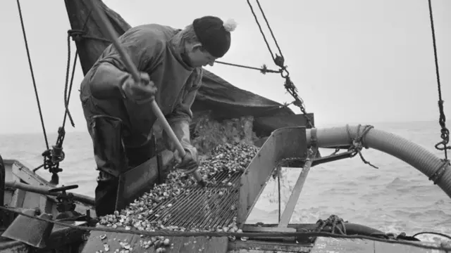 A cockle fisherman off Foulness in Essex in 1971