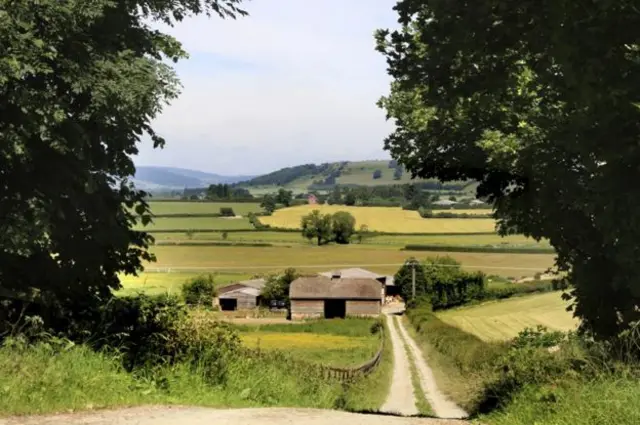 Hereford countryside