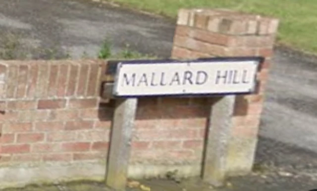 Mallard Hill