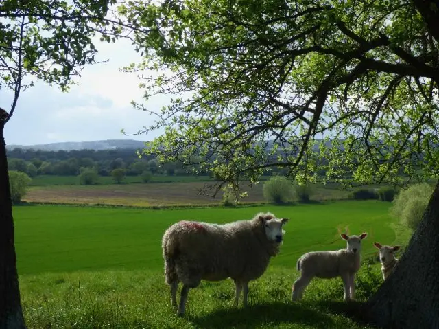 Teme Valley