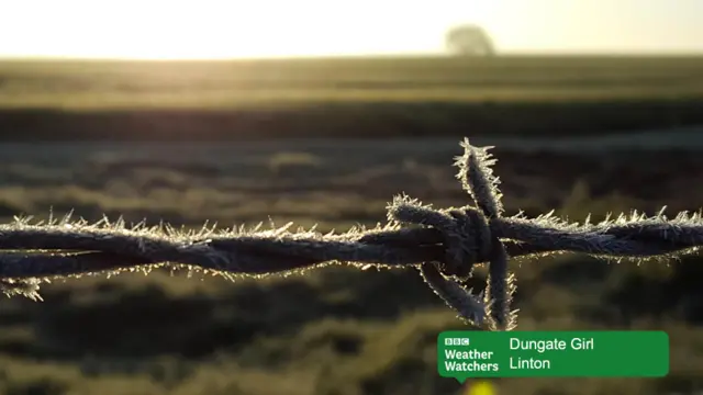 Frost in Linton