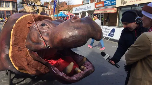 Big hippo head near the start line