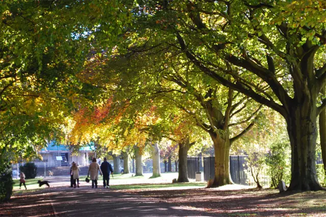 War Memorial Park