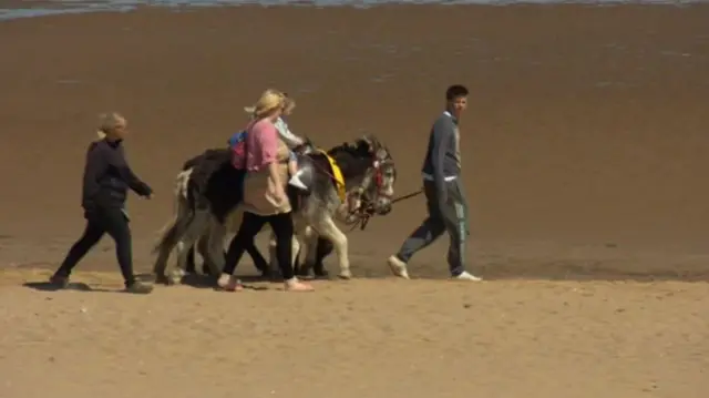 Donkey on the beach