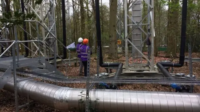 Scientists looking at the forest experiment