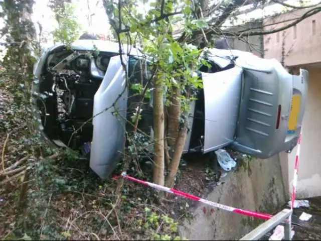 Car in a tree