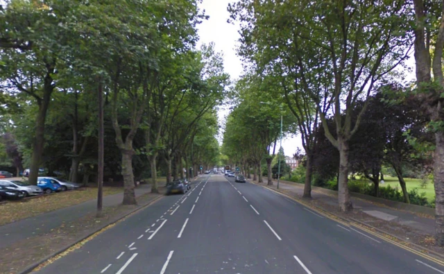 Cottingham Road near the University