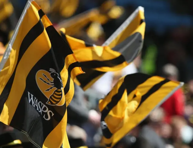 Wasps fans' flags