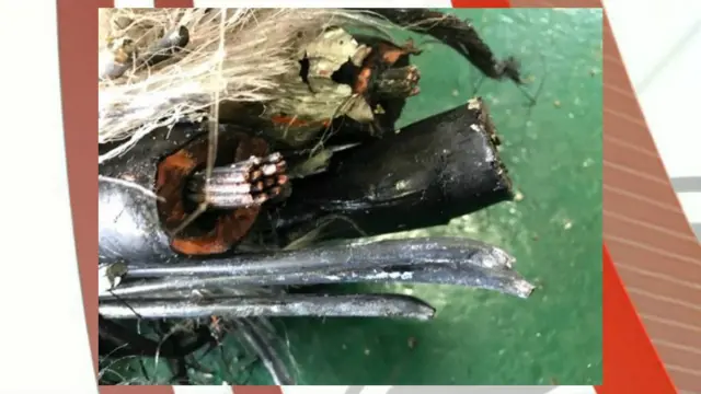 Broken cable. Pic: Western Power Distribution