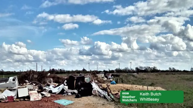Rubbish in Whittlesey
