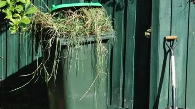 Green bin with garden waste